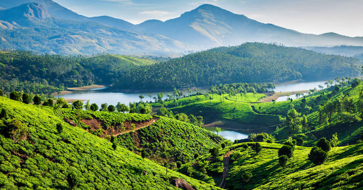 Kerala (God’s own Country)